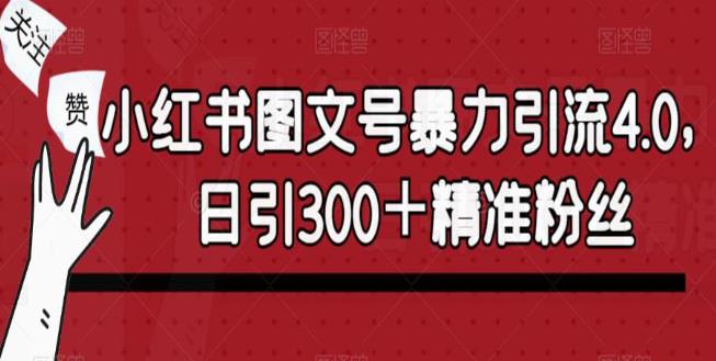 小红书图文号暴力引流4.0，日引300＋精准粉丝【揭秘】